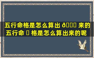 五行命格是怎么算出 🐛 来的（五行命 ☘ 格是怎么算出来的呢）